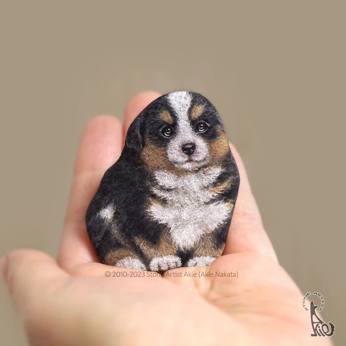 Japanese Artist Transforms Ordinary Stones Into Adorable Dogs With Incredible Detail (30 Pics)