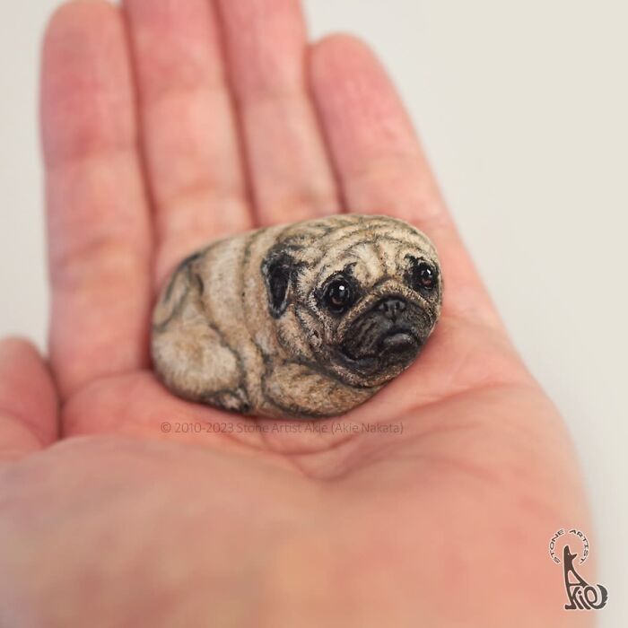 Japanese Artist Transforms Ordinary Stones Into Adorable Dogs With Incredible Detail (30 Pics)