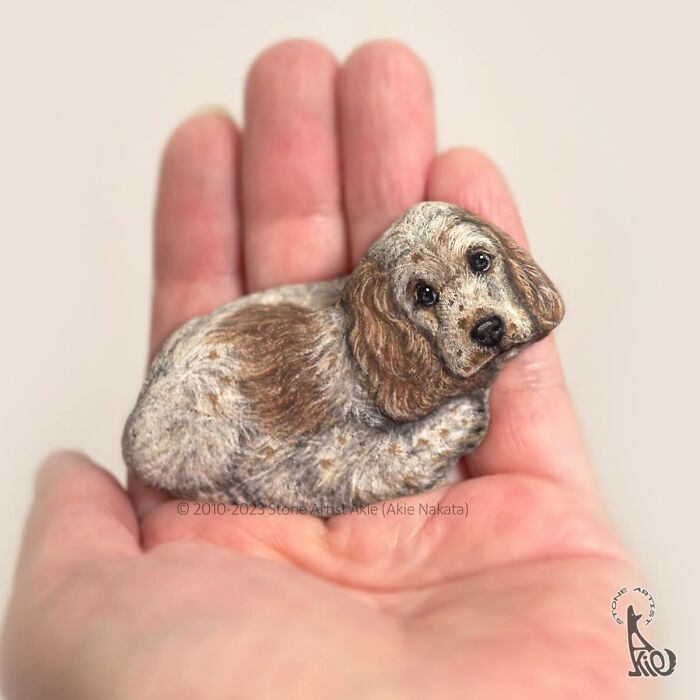Japanese Artist Transforms Ordinary Stones Into Adorable Dogs With Incredible Detail (30 Pics)