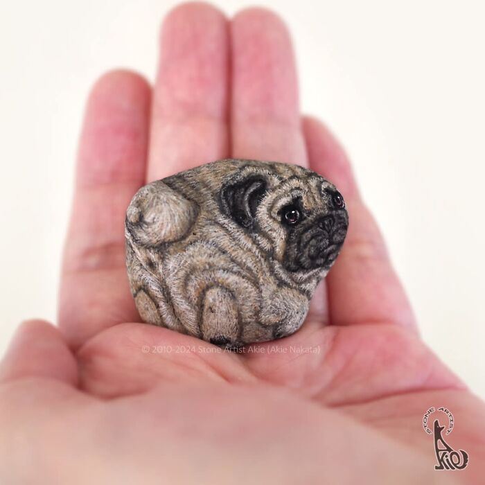 Japanese Artist Transforms Ordinary Stones Into Adorable Dogs With Incredible Detail (30 Pics)