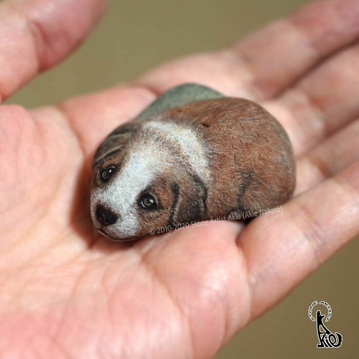 Japanese Artist Transforms Ordinary Stones Into Adorable Dogs With Incredible Detail (30 Pics)