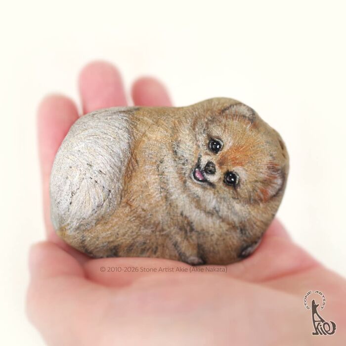 Japanese Artist Transforms Ordinary Stones Into Adorable Dogs With Incredible Detail (30 Pics)