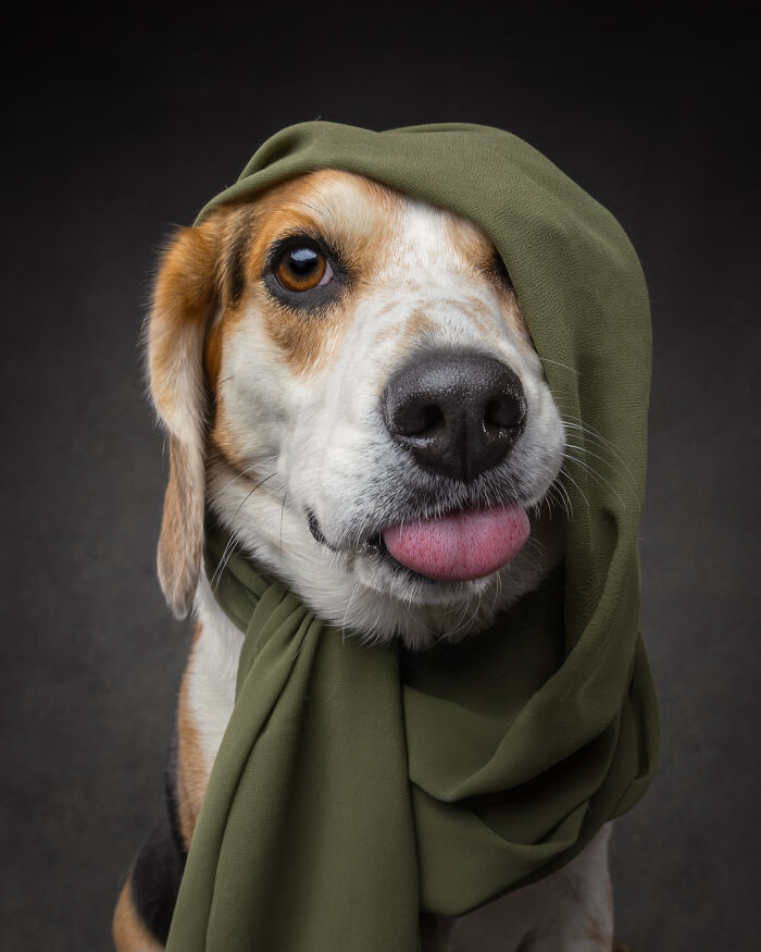 “Who’s Your Doggy”: A Coffee Table Book By This Artist Celebrating Dogs And Their Big Personalities (22 New Pics) “Who’s Your Doggy”: A Coffee Table Book By This Artist Celebrating Dogs And Their Big Personalities (22 New Pics)