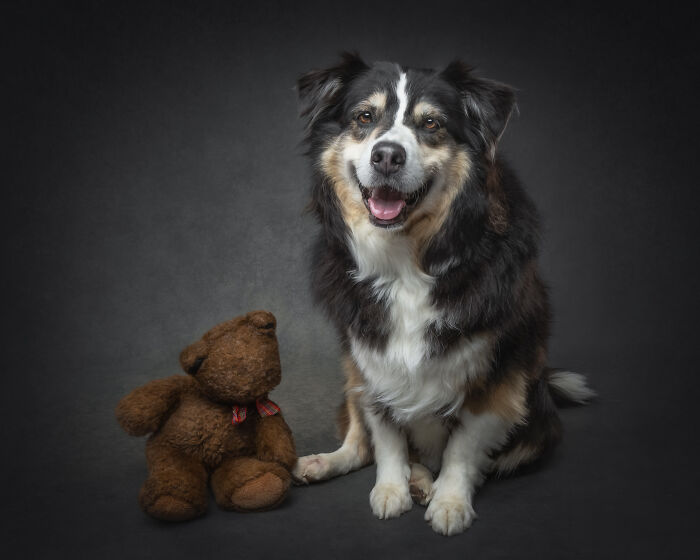 “Who’s Your Doggy”: A Coffee Table Book By This Artist Celebrating Dogs And Their Big Personalities (22 New Pics) “Who’s Your Doggy”: A Coffee Table Book By This Artist Celebrating Dogs And Their Big Personalities (22 New Pics)