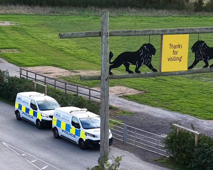 Witness At UK Wildlife Park Describes Horrifying Moment She Watched Former Child Actor Climb Into Tiger Enclosure Witness At UK Wildlife Park Describes Horrifying Moment She Watched Former Child Actor Climb Into Tiger Enclosure