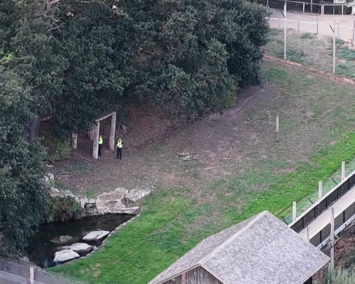 Witness At UK Wildlife Park Describes Horrifying Moment She Watched Former Child Actor Climb Into Tiger Enclosure Witness At UK Wildlife Park Describes Horrifying Moment She Watched Former Child Actor Climb Into Tiger Enclosure