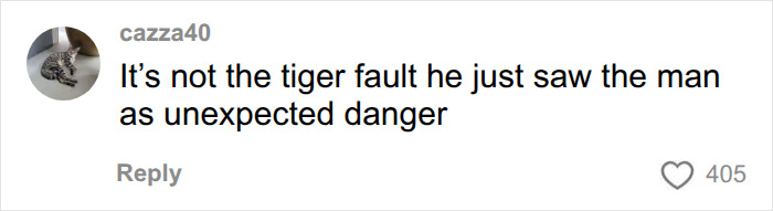 Witness At UK Wildlife Park Describes Horrifying Moment She Watched Former Child Actor Climb Into Tiger Enclosure Witness At UK Wildlife Park Describes Horrifying Moment She Watched Former Child Actor Climb Into Tiger Enclosure