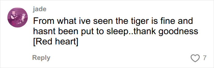 Witness At UK Wildlife Park Describes Horrifying Moment She Watched Former Child Actor Climb Into Tiger Enclosure Witness At UK Wildlife Park Describes Horrifying Moment She Watched Former Child Actor Climb Into Tiger Enclosure