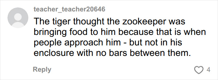 Witness At UK Wildlife Park Describes Horrifying Moment She Watched Former Child Actor Climb Into Tiger Enclosure Witness At UK Wildlife Park Describes Horrifying Moment She Watched Former Child Actor Climb Into Tiger Enclosure