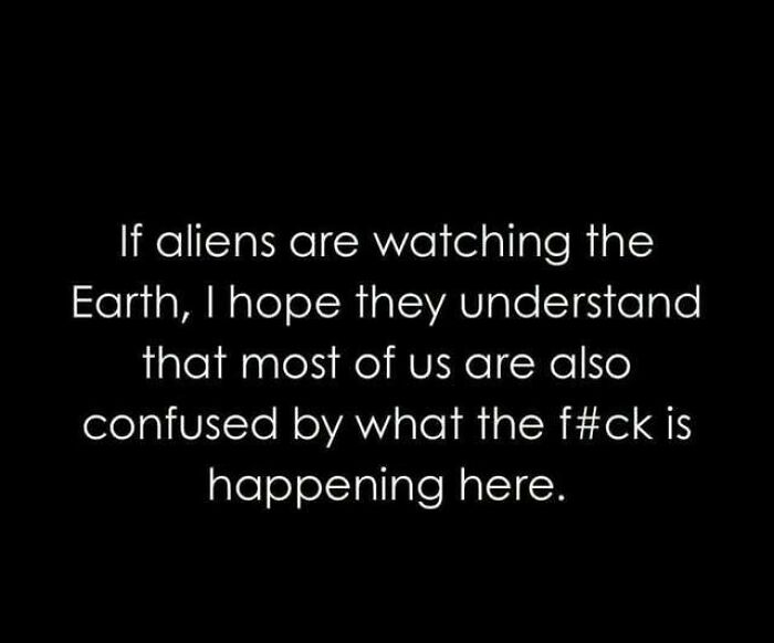 57 Feral Internet Posts That Look Like Someone Left The Web Unsupervised 57 Feral Internet Posts That Look Like Someone Left The Web Unsupervised