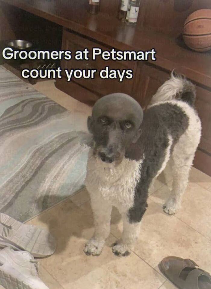 76 Cursed Images That Are Even Weirder Without Any Context 76 Cursed Images That Are Even Weirder Without Any Context