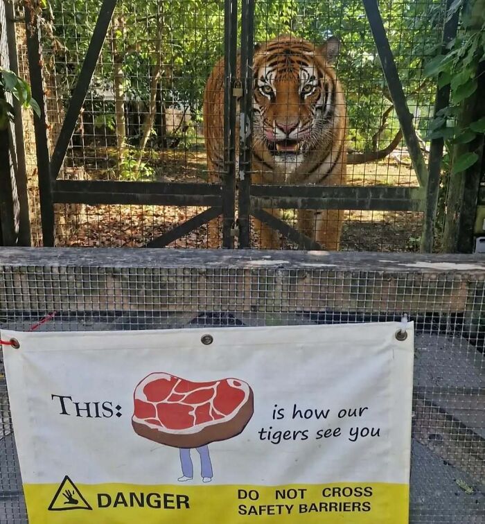 76 Cursed Images That Are Even Weirder Without Any Context 76 Cursed Images That Are Even Weirder Without Any Context