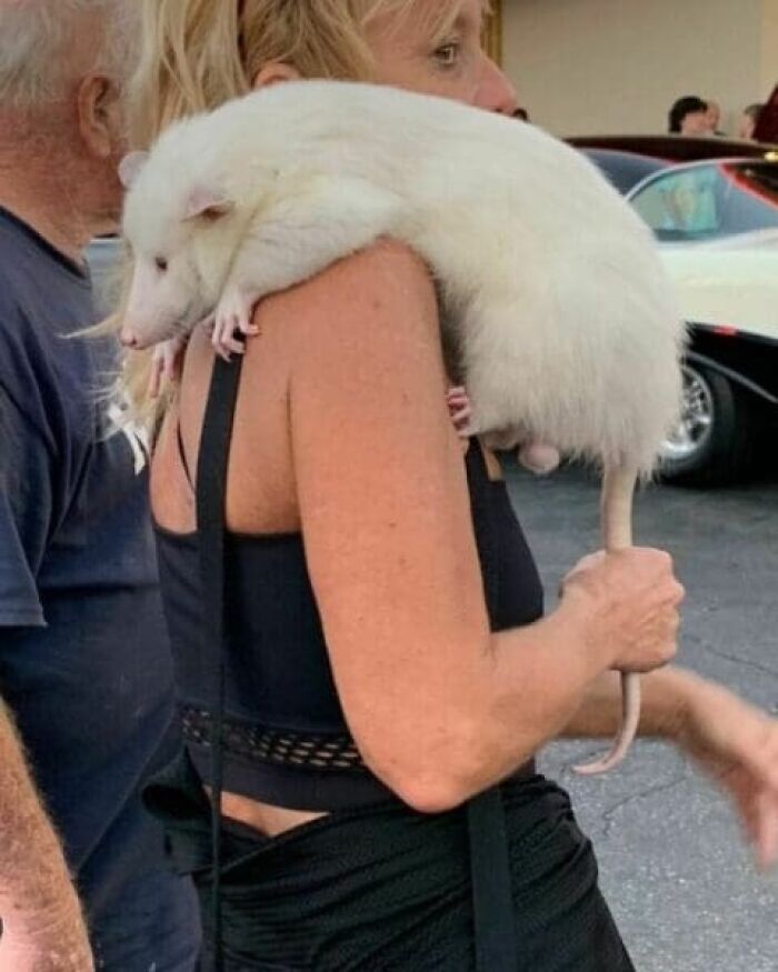 76 Cursed Images That Are Even Weirder Without Any Context 76 Cursed Images That Are Even Weirder Without Any Context