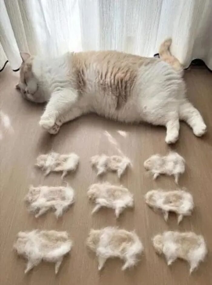 76 Cursed Images That Are Even Weirder Without Any Context 76 Cursed Images That Are Even Weirder Without Any Context