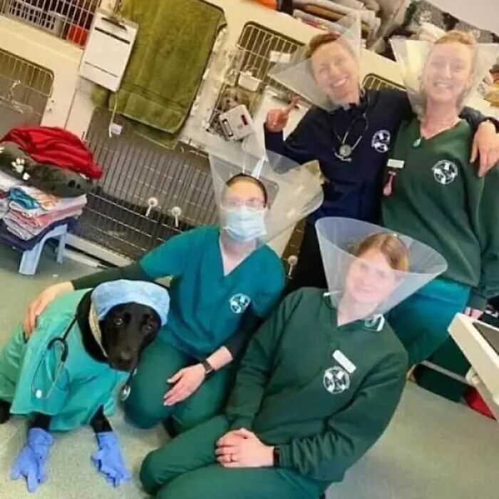 76 Cursed Images That Are Even Weirder Without Any Context 76 Cursed Images That Are Even Weirder Without Any Context