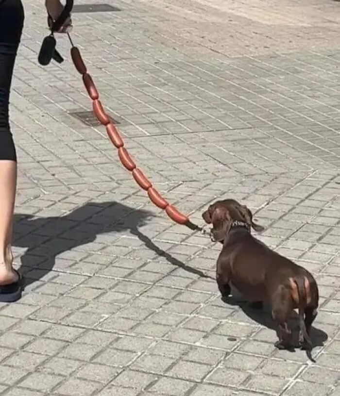 76 Cursed Images That Are Even Weirder Without Any Context 76 Cursed Images That Are Even Weirder Without Any Context