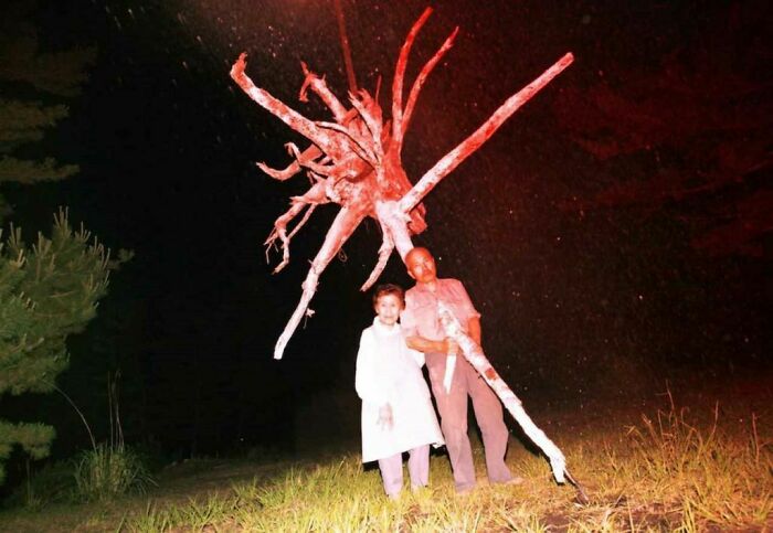 76 Cursed Images That Are Even Weirder Without Any Context 76 Cursed Images That Are Even Weirder Without Any Context