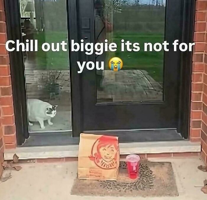 76 Cursed Images That Are Even Weirder Without Any Context 76 Cursed Images That Are Even Weirder Without Any Context