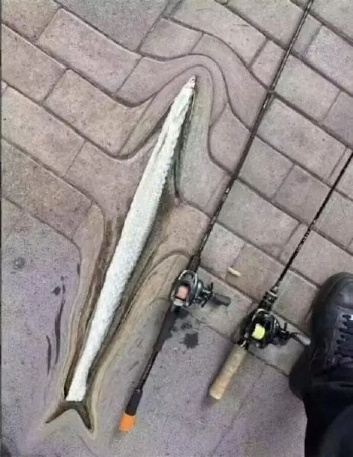 76 Cursed Images That Are Even Weirder Without Any Context 76 Cursed Images That Are Even Weirder Without Any Context