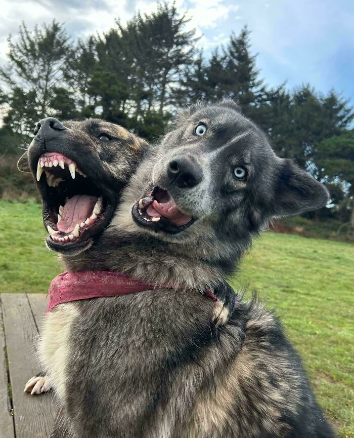 80 Photos Confusing The Eye In The Best Way, And Their Explanations Make Them Even More Amusing 80 Photos Confusing The Eye In The Best Way, And Their Explanations Make Them Even More Amusing