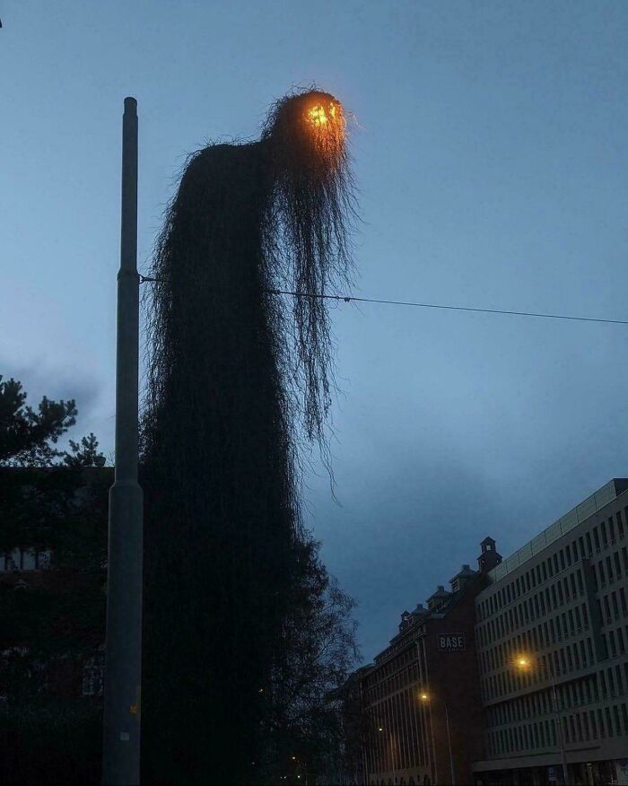 80 Photos Confusing The Eye In The Best Way, And Their Explanations Make Them Even More Amusing 80 Photos Confusing The Eye In The Best Way, And Their Explanations Make Them Even More Amusing