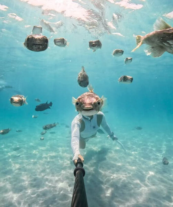80 Photos Confusing The Eye In The Best Way, And Their Explanations Make Them Even More Amusing 80 Photos Confusing The Eye In The Best Way, And Their Explanations Make Them Even More Amusing