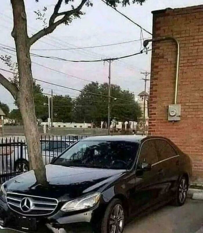 80 Photos Confusing The Eye In The Best Way, And Their Explanations Make Them Even More Amusing 80 Photos Confusing The Eye In The Best Way, And Their Explanations Make Them Even More Amusing