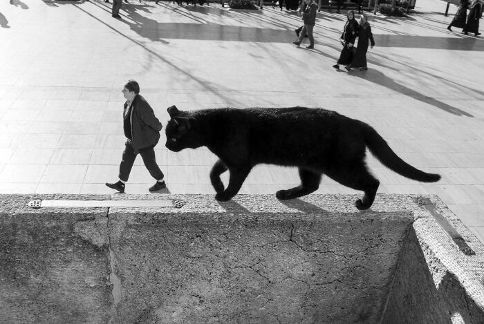 80 Photos Confusing The Eye In The Best Way, And Their Explanations Make Them Even More Amusing 80 Photos Confusing The Eye In The Best Way, And Their Explanations Make Them Even More Amusing