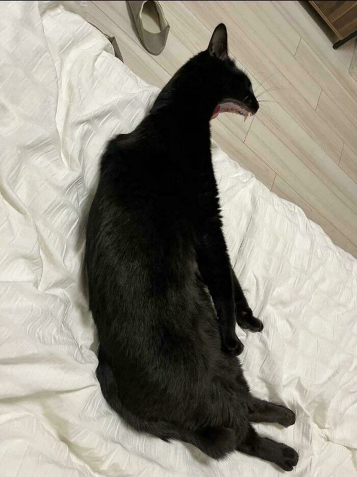 80 Photos Confusing The Eye In The Best Way, And Their Explanations Make Them Even More Amusing 80 Photos Confusing The Eye In The Best Way, And Their Explanations Make Them Even More Amusing
