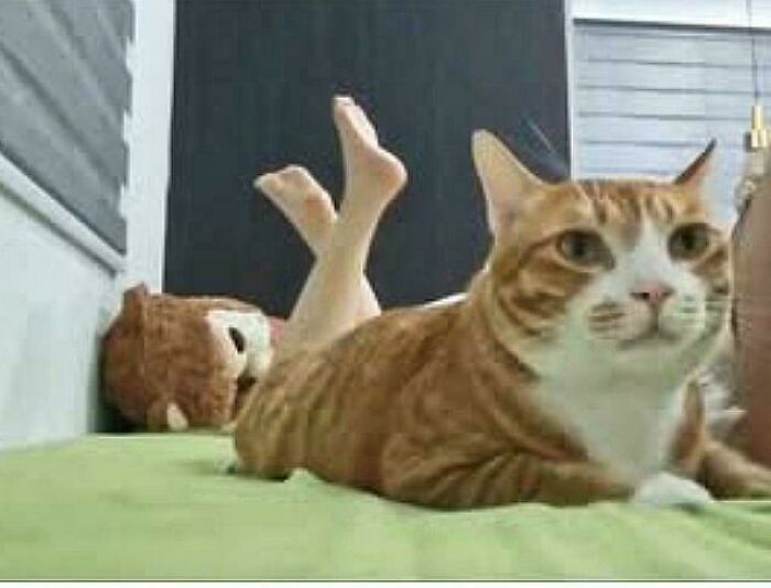 80 Photos Confusing The Eye In The Best Way, And Their Explanations Make Them Even More Amusing 80 Photos Confusing The Eye In The Best Way, And Their Explanations Make Them Even More Amusing