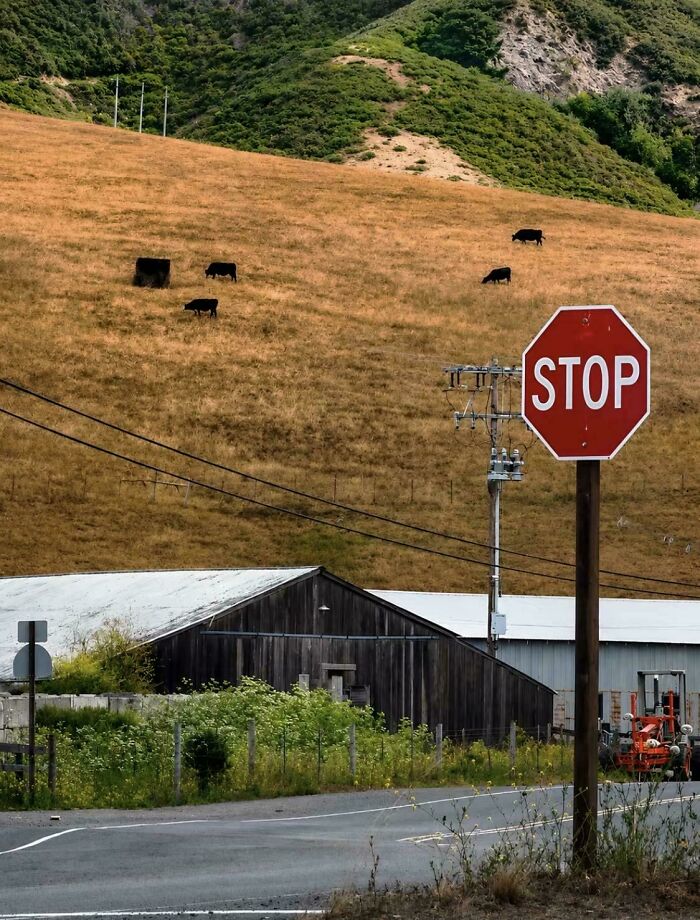 80 Photos Confusing The Eye In The Best Way, And Their Explanations Make Them Even More Amusing 80 Photos Confusing The Eye In The Best Way, And Their Explanations Make Them Even More Amusing