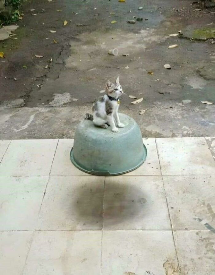 80 Photos Confusing The Eye In The Best Way, And Their Explanations Make Them Even More Amusing 80 Photos Confusing The Eye In The Best Way, And Their Explanations Make Them Even More Amusing