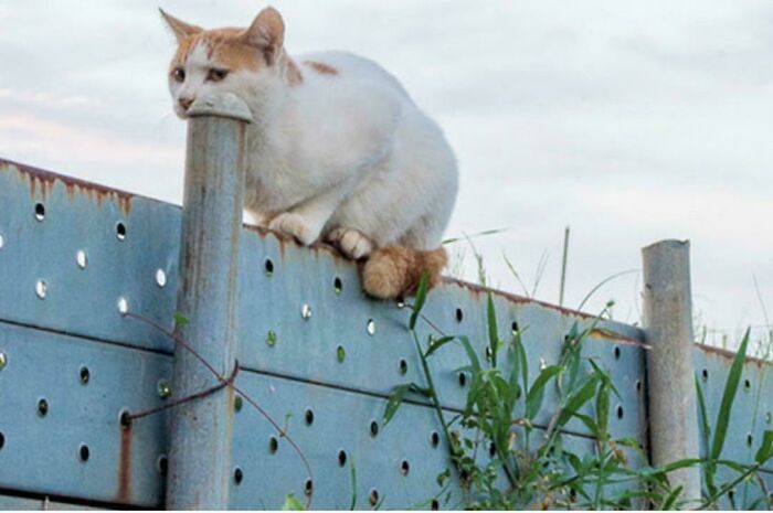 80 Photos Confusing The Eye In The Best Way, And Their Explanations Make Them Even More Amusing 80 Photos Confusing The Eye In The Best Way, And Their Explanations Make Them Even More Amusing