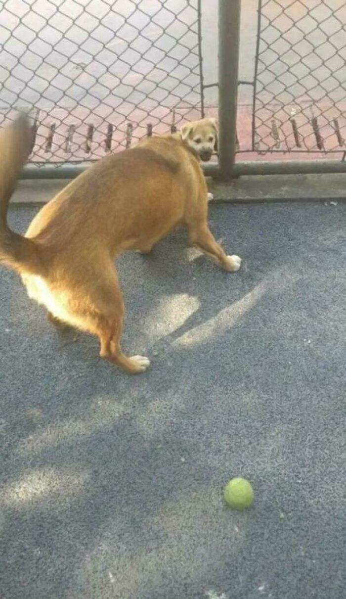 80 Photos Confusing The Eye In The Best Way, And Their Explanations Make Them Even More Amusing 80 Photos Confusing The Eye In The Best Way, And Their Explanations Make Them Even More Amusing