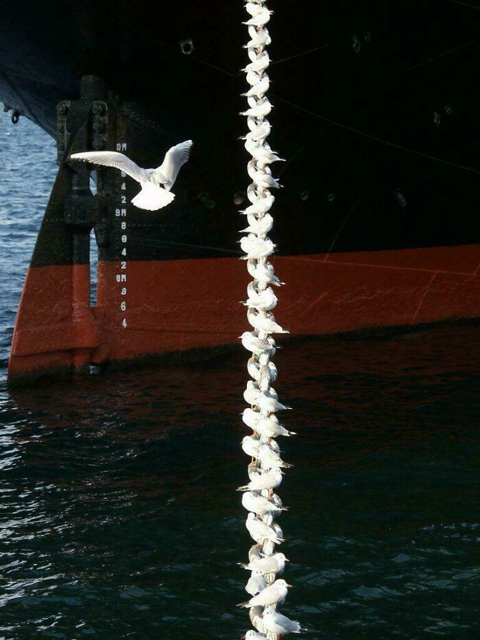 80 Photos Confusing The Eye In The Best Way, And Their Explanations Make Them Even More Amusing 80 Photos Confusing The Eye In The Best Way, And Their Explanations Make Them Even More Amusing