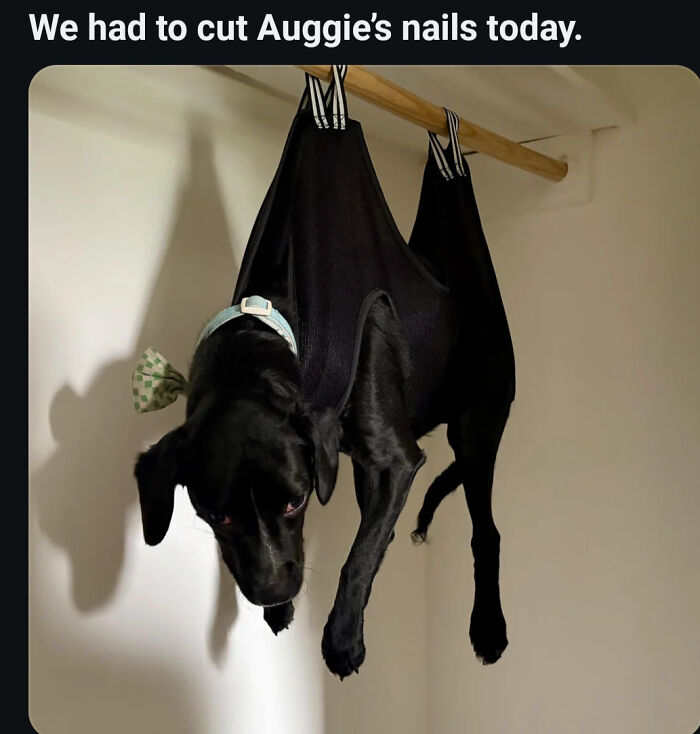 80 Photos Confusing The Eye In The Best Way, And Their Explanations Make Them Even More Amusing 80 Photos Confusing The Eye In The Best Way, And Their Explanations Make Them Even More Amusing