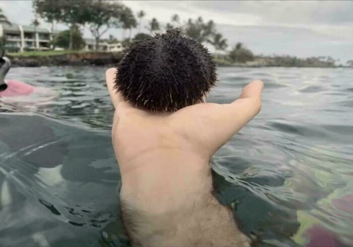 80 Photos Confusing The Eye In The Best Way, And Their Explanations Make Them Even More Amusing 80 Photos Confusing The Eye In The Best Way, And Their Explanations Make Them Even More Amusing