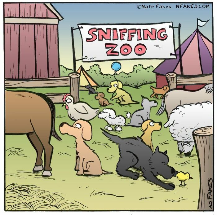 39 Hilarious Comics By Nate Fakes That Imagine What Life Would Be Like If Dogs Could Talk