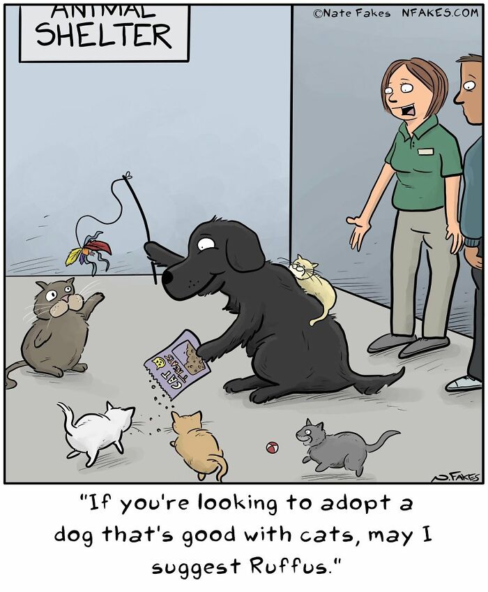 39 Hilarious Comics By Nate Fakes That Imagine What Life Would Be Like If Dogs Could Talk