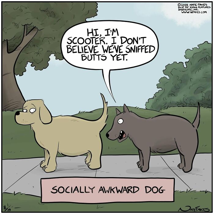 39 Hilarious Comics By Nate Fakes That Imagine What Life Would Be Like If Dogs Could Talk