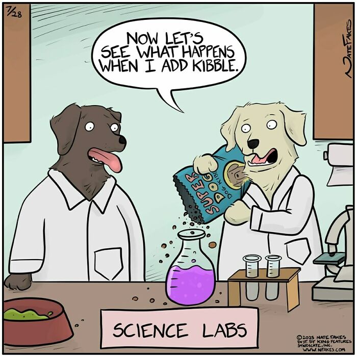 39 Hilarious Comics By Nate Fakes That Imagine What Life Would Be Like If Dogs Could Talk