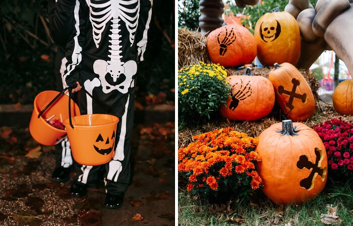 “Hocus Pocus Or The Nightmare Before Christmas?”: Cast Your Vote In This 50-50 Fall Quiz “Hocus Pocus Or The Nightmare Before Christmas?”: Cast Your Vote In This 50-50 Fall Quiz