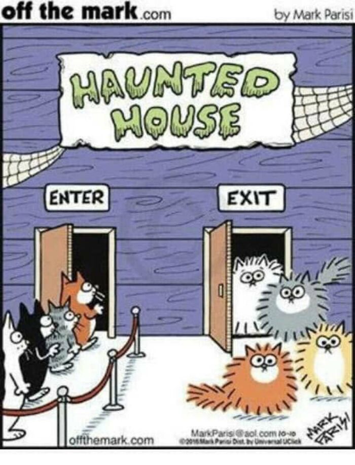 Cartoonist Mark Parisi Puts A Hilarious Spin On Halloween In 50 New Comics Cartoonist Mark Parisi Puts A Hilarious Spin On Halloween In 50 New Comics