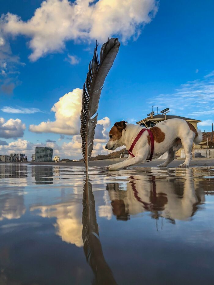 This Photographer Took 30,000 Photos Across 16 Different iPhones, And Here Are 27 Results This Photographer Took 30,000 Photos Across 16 Different iPhones, And Here Are 27 Results