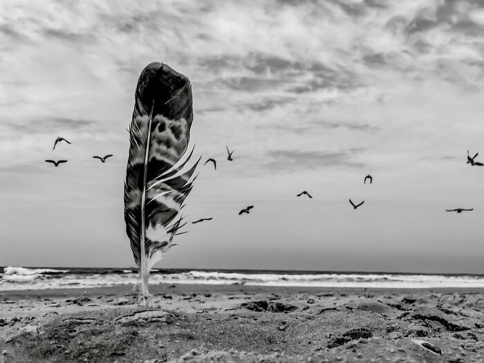 This Photographer Took 30,000 Photos Across 16 Different iPhones, And Here Are 27 Results This Photographer Took 30,000 Photos Across 16 Different iPhones, And Here Are 27 Results