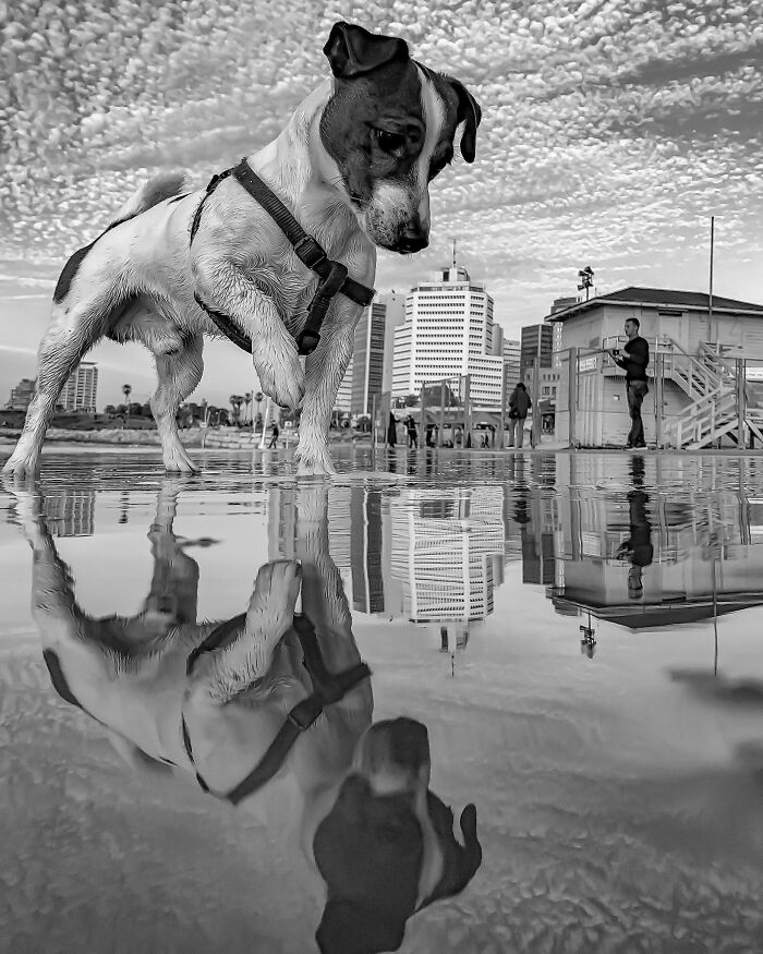 This Photographer Took 30,000 Photos Across 16 Different iPhones, And Here Are 27 Results This Photographer Took 30,000 Photos Across 16 Different iPhones, And Here Are 27 Results