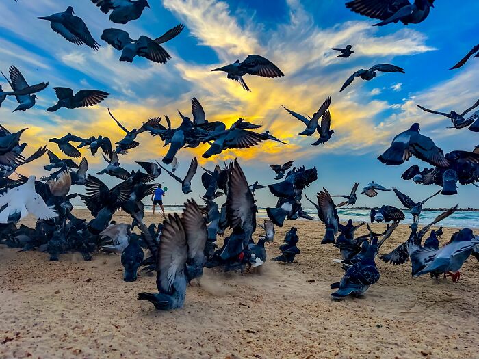 This Photographer Took 30,000 Photos Across 16 Different iPhones, And Here Are 27 Results This Photographer Took 30,000 Photos Across 16 Different iPhones, And Here Are 27 Results