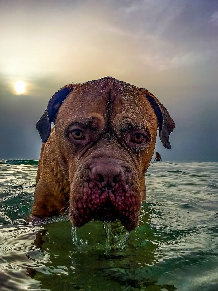 This Photographer Took 30,000 Photos Across 16 Different iPhones, And Here Are 27 Results This Photographer Took 30,000 Photos Across 16 Different iPhones, And Here Are 27 Results