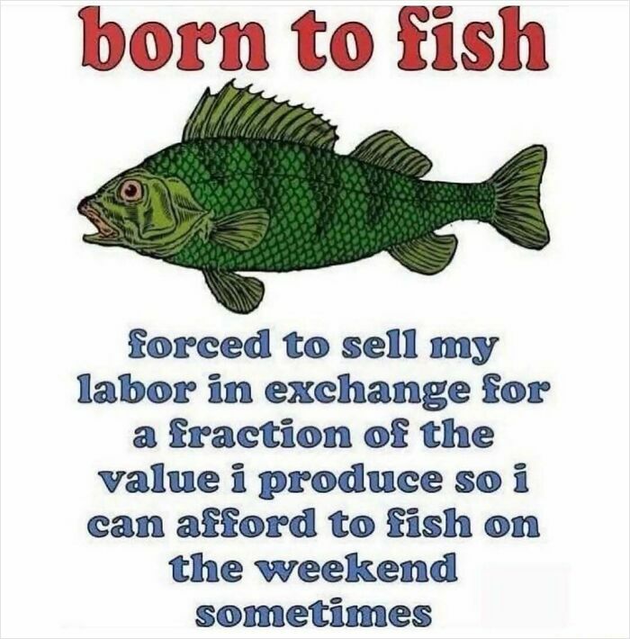 80 Hilariously Relatable Memes That Put Our Everyday Thoughts On Display