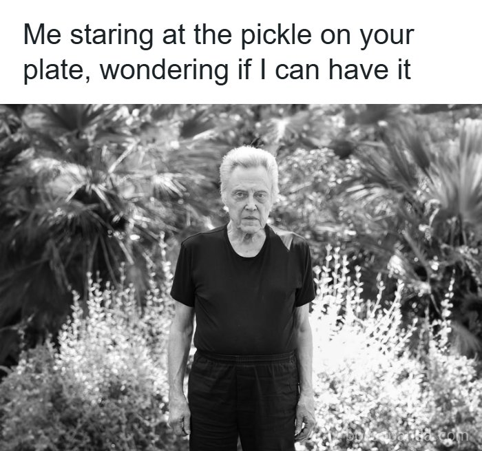 80 Hilariously Relatable Memes That Put Our Everyday Thoughts On Display